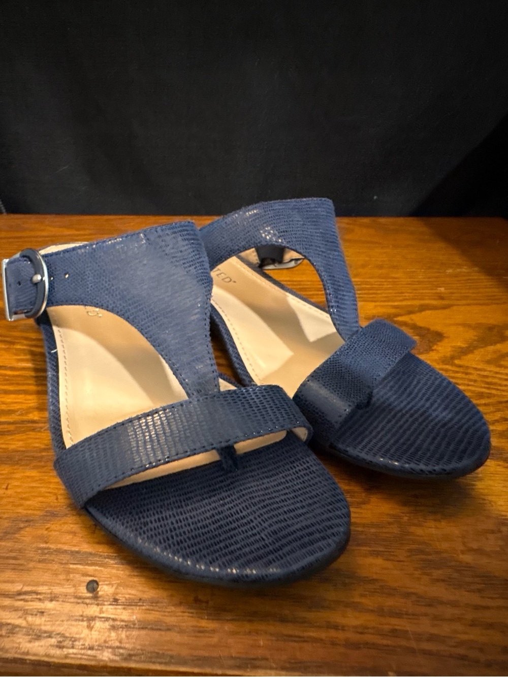 The Limited Navy Blue Crisscross Wedge Sandals Women’s Size 6M